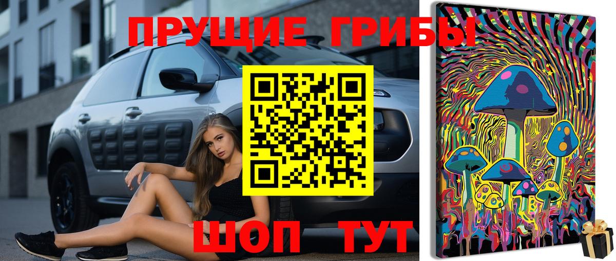 Ливны  Псилоцибиновые грибы Cubensis  Вход с VPN 